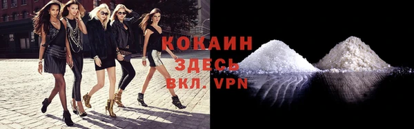 шишки Балахна