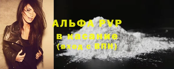 крисы Баксан