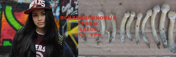 крисы Баксан
