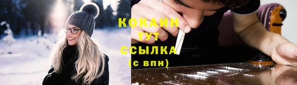 крисы Баксан