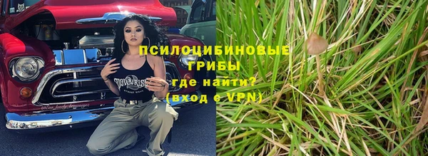 крисы Баксан