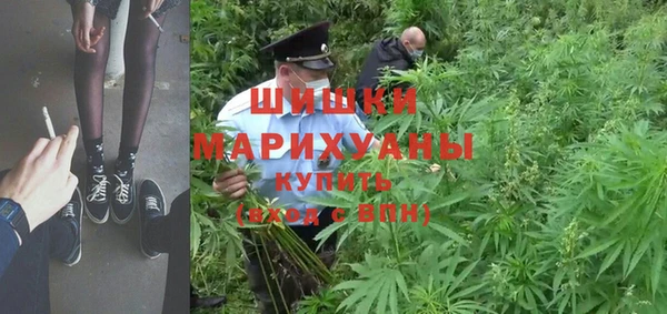 крисы Баксан