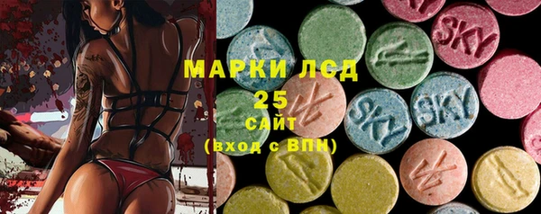 крисы Баксан