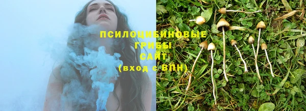 шишки Балахна