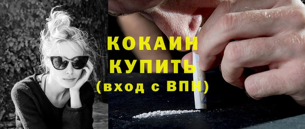 крисы Баксан