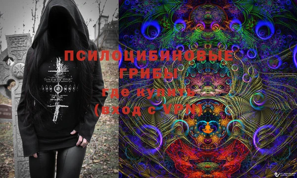шишки Балахна